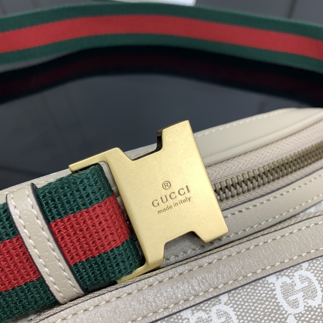 Gucci Waist Chest Packs